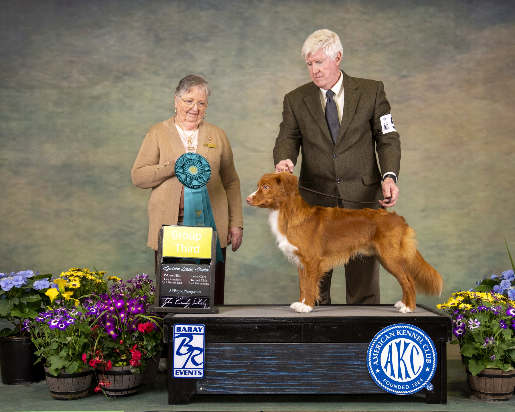 Forest Cove Tollers gallery photo 39